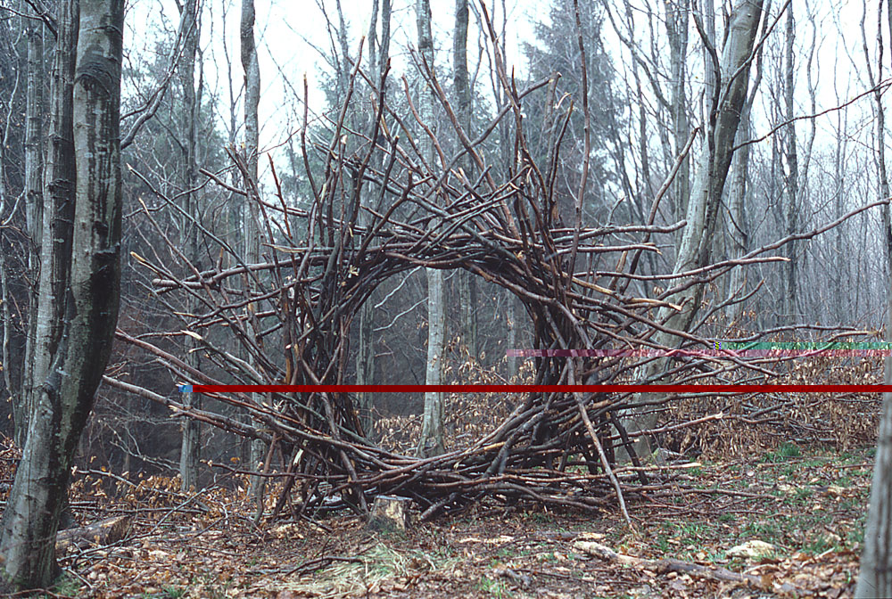 land-art-Andy-Goldsworthy-04.jpg